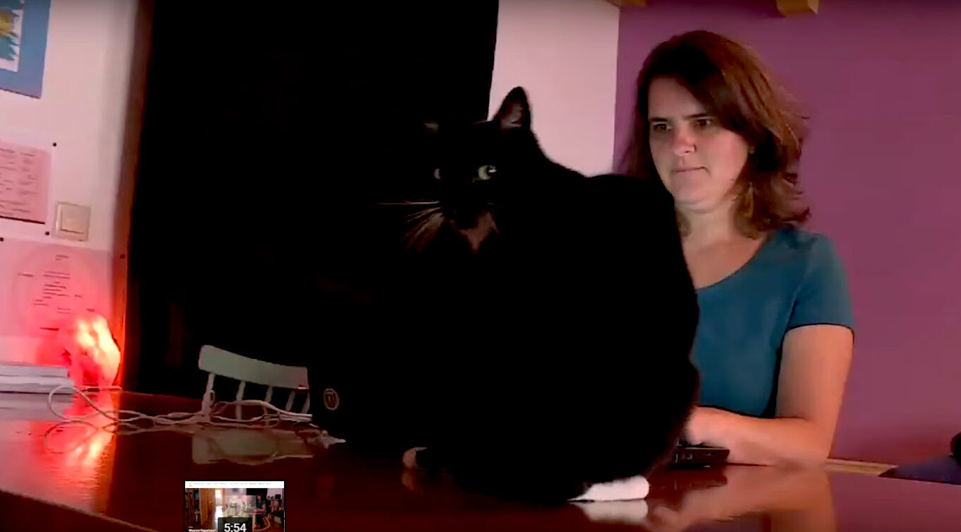 Waarom Le Chat ipv Chat GPT?